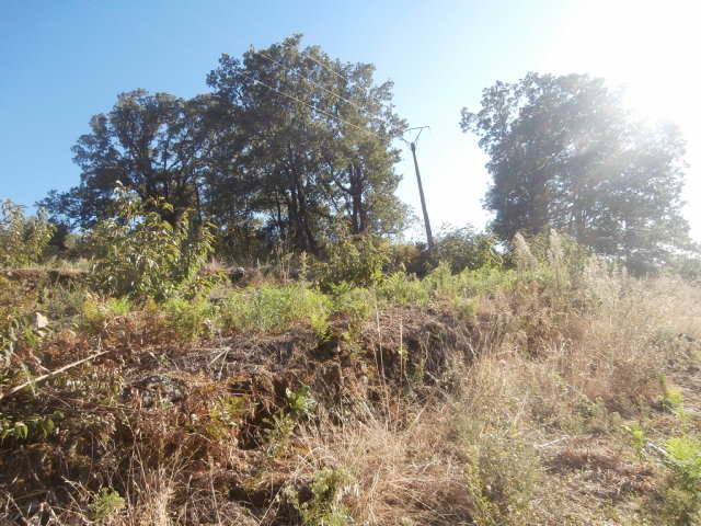 Terreno en venta en Valdastillas, Polígono, 10614