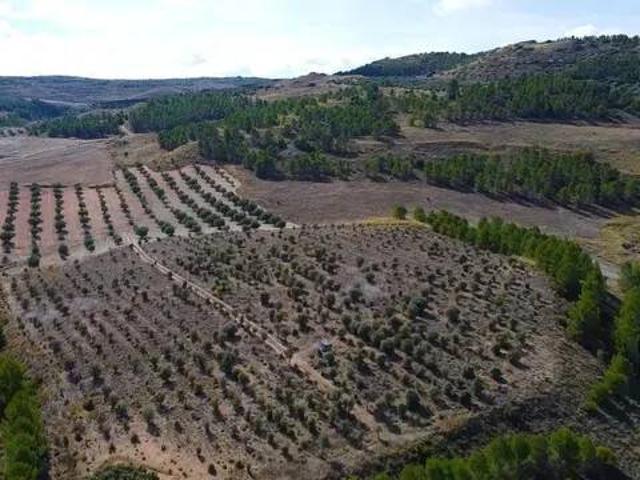 Terreno en Venta en Valdaracete