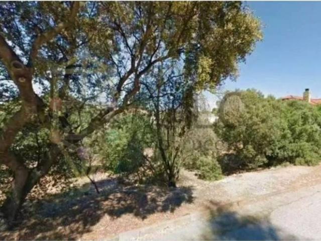 Terreno en Venta en Valdeaveruelo