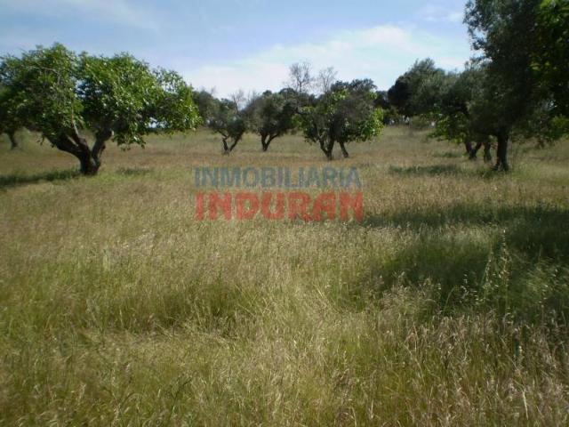 Terreno en Venta en Valdehúncar