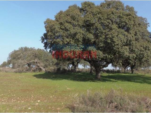 Terreno en Venta en Valdehúncar