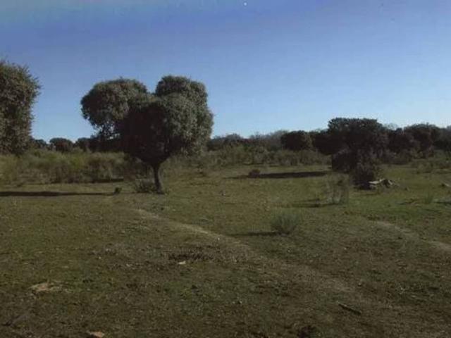 Terreno en Venta en Valdemorillo
