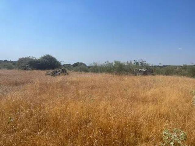 Terreno en Venta en Valdemorillo
