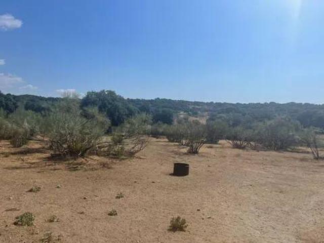 Terreno en Venta en Valdemorillo