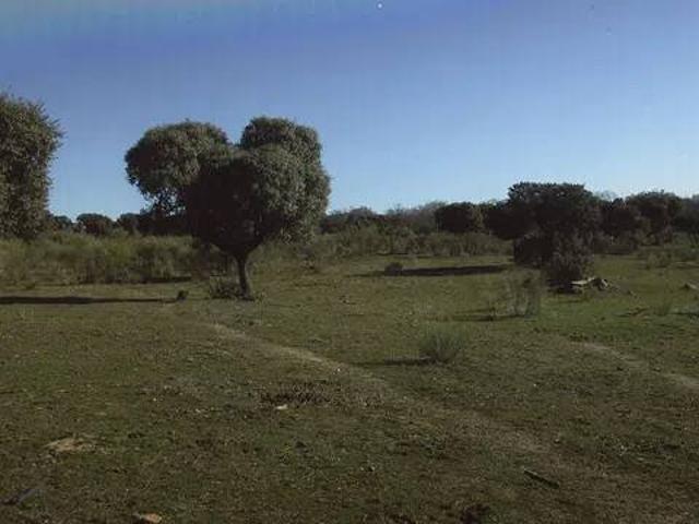 Terreno en Venta en Valdemorillo