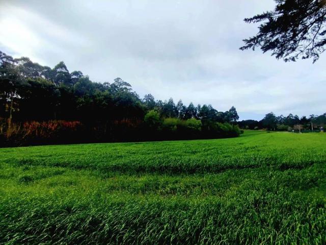 Terreno en Venta en Valdés