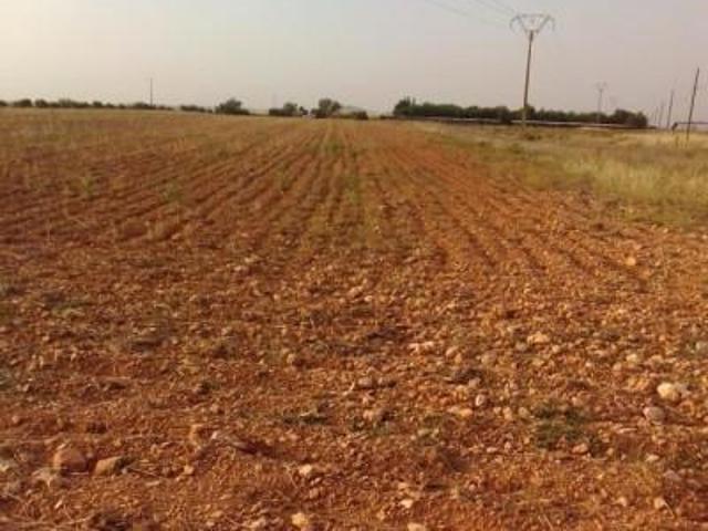 Terreno en venta en Valdepeñas, Valdepenas