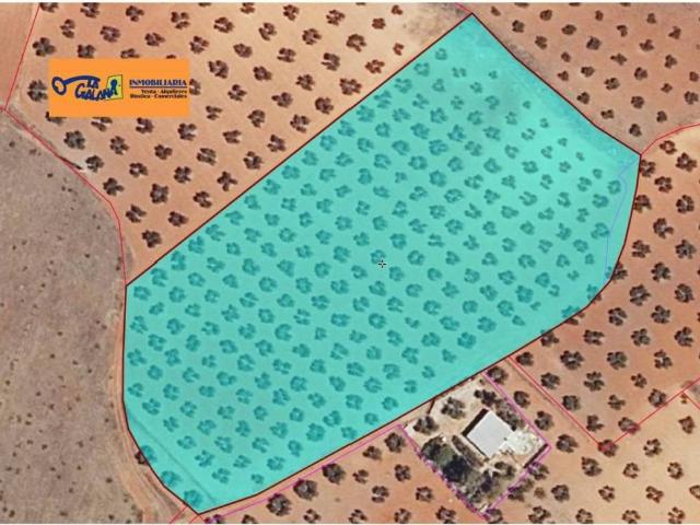 Terreno en Venta en Valdepeñas