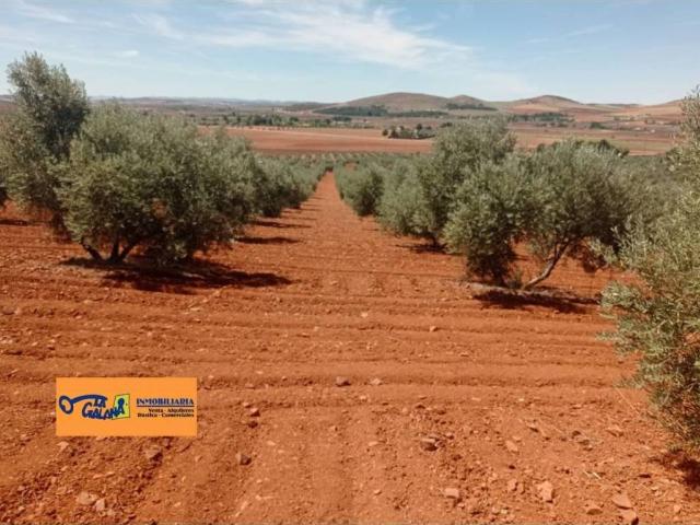 Terreno en Venta en Valdepeñas