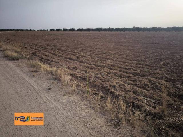 Terreno en Venta en Valdepeñas