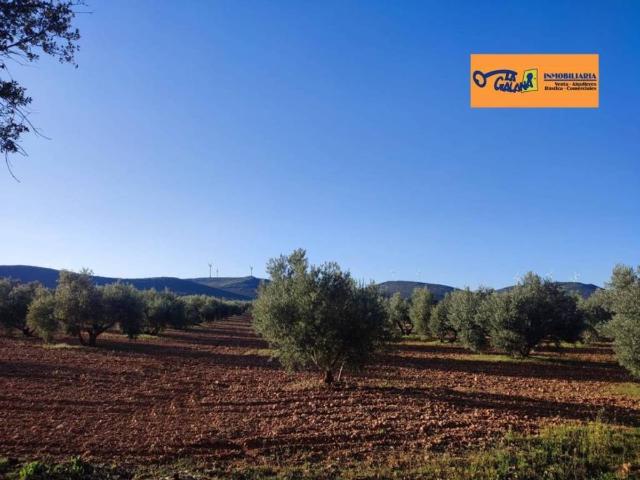 Terreno en Venta en Valdepeñas