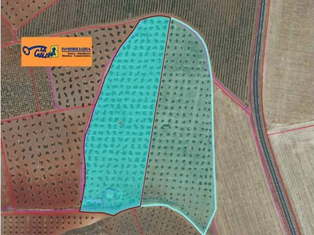 Terreno en Venta en Valdepeñas