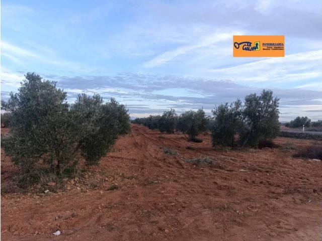 Terreno en Venta en Valdepeñas