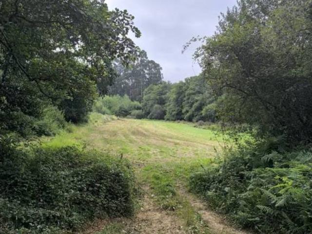 Terreno en Venta en Valdoviño