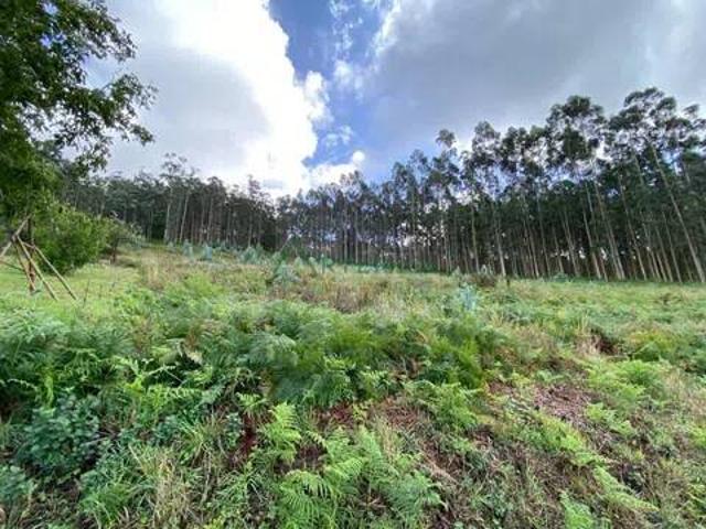 Terreno en Venta en Valdoviño