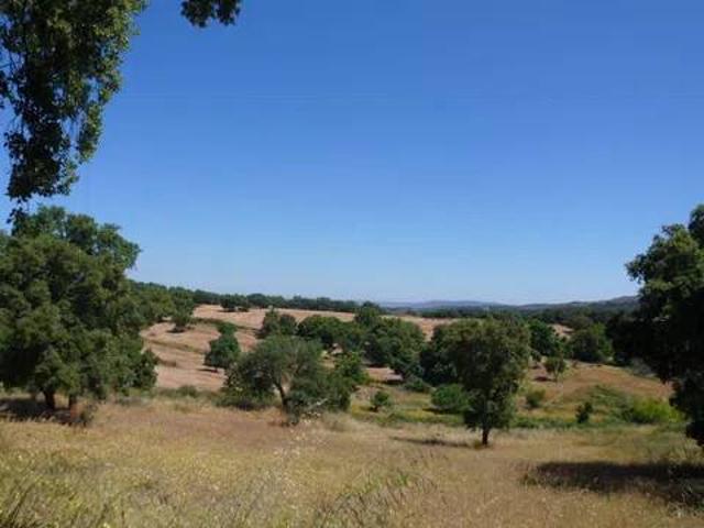 Terreno en Venta en Valencia de Alcántara