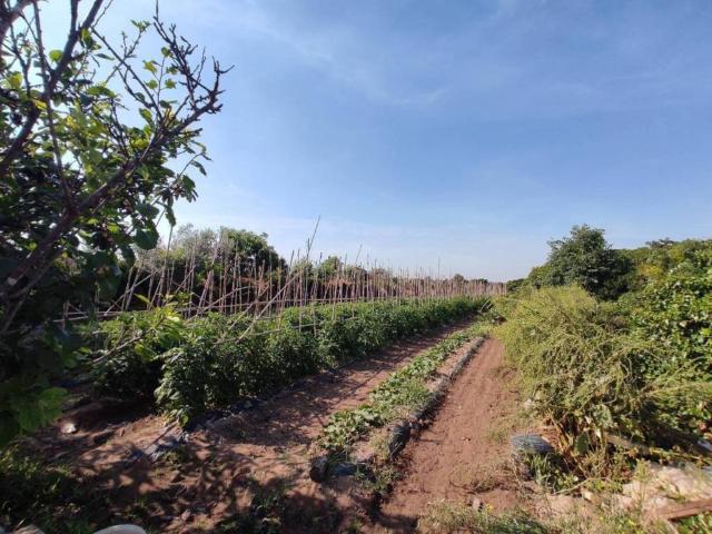 Terreno en Venta en València