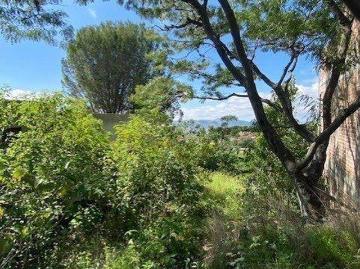 Terreno en venta en Valenciana