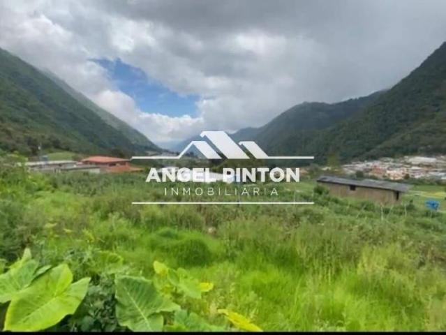 Terreno en Venta en Valera La Puerta Trujillo