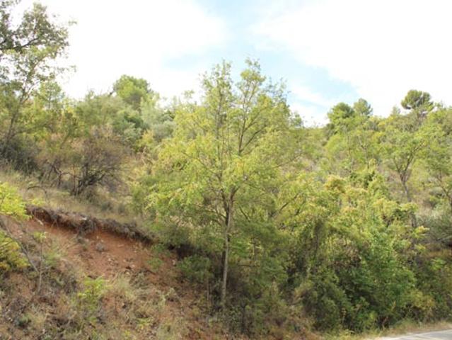 Terreno en venta en Valfermoso De Tajuña