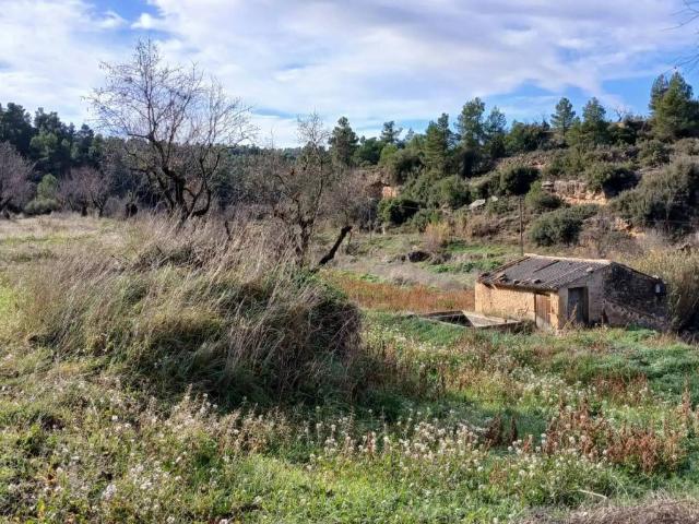 Terreno en Venta en Valjunquera