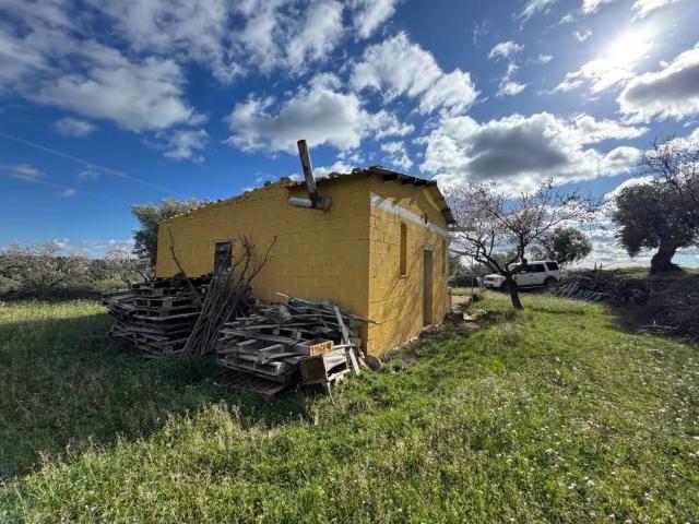 Terreno en Venta en Valjunquera