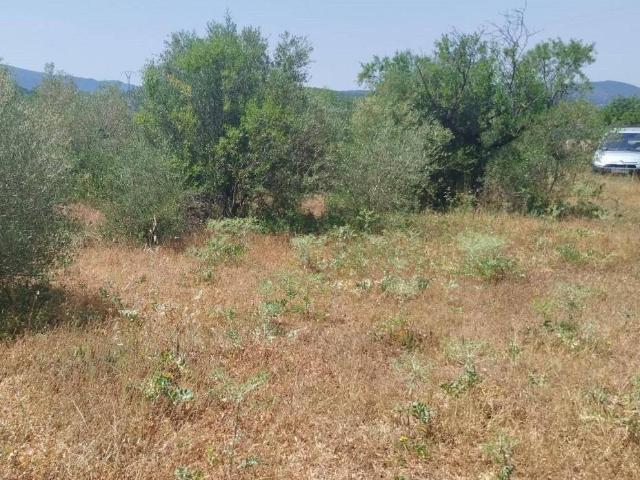 Terreno en Venta en Vall d'Alba