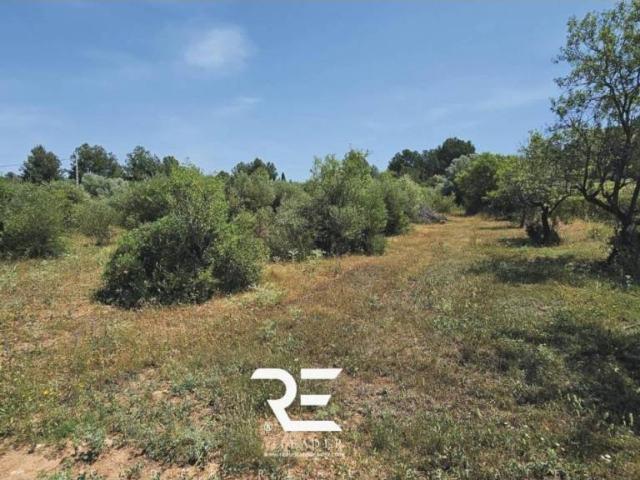 Terreno en Venta en Vall d'Alba