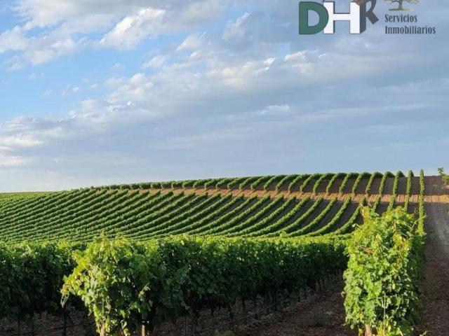 Terreno en Venta en Valladolid