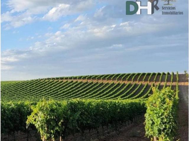 Terreno en Venta en Valladolid