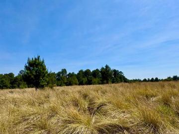Terreno en venta en Valle de Bravo a 15 minutos al centro de Avándaro