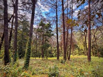 Terreno en venta en Valle de Bravo a solo 15 min del centro de Avándaro