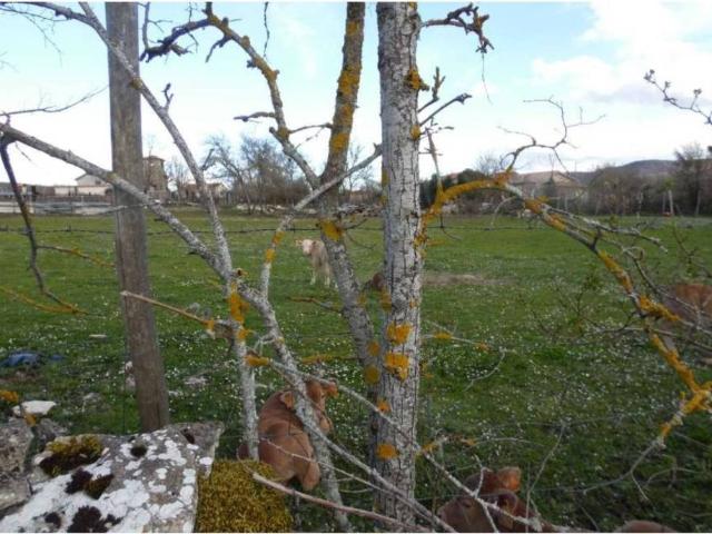 Terreno en Venta en Valle de Losa