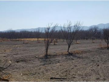 Terreno en venta en Valle de Parras, Parras, Coahuila de Zaragoza