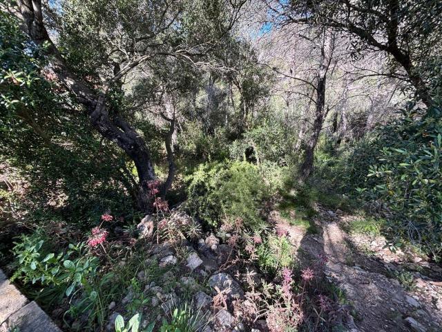 Terreno en Venta en Valles Altos, Sant Pere de Ribes
