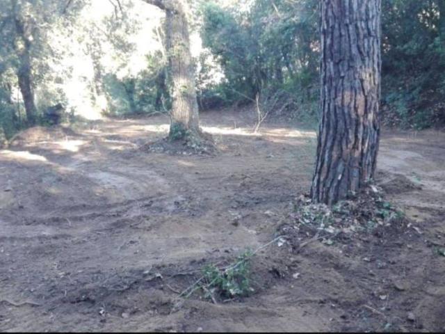 Terreno en Venta en Vallgorguina