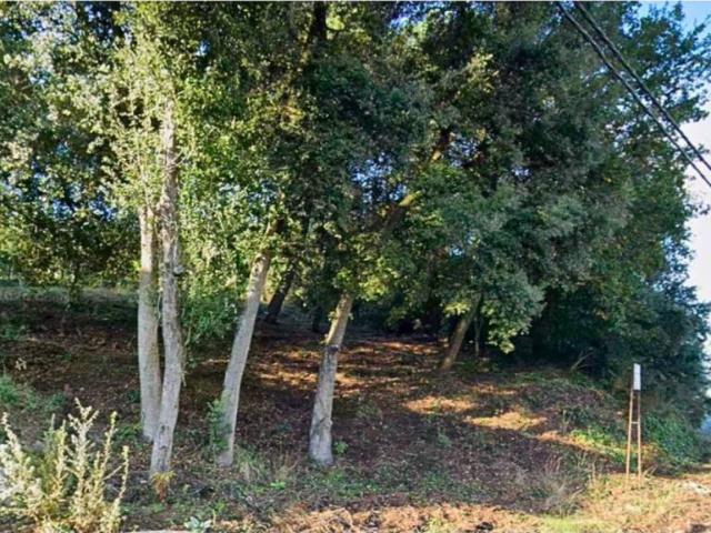 Terreno en Venta en Vallgorguina