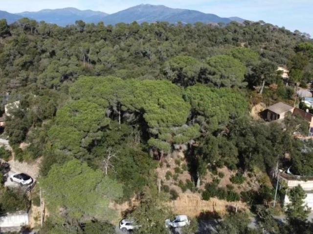 Terreno en Venta en Vallgorguina