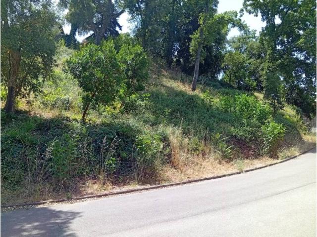 Terreno en Venta en Vallgorguina