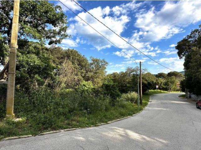 Terreno en Venta en Vallgorguina