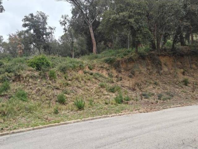 Terreno en Venta en Vallgorguina