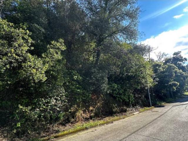 Terreno en Venta en Vallgorguina