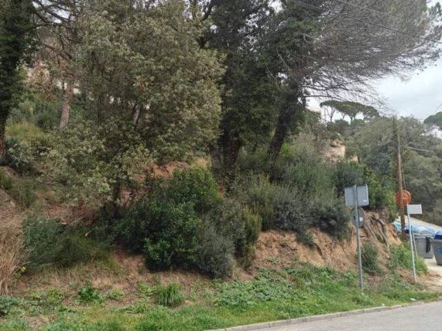 Terreno en Venta en Vallgorguina
