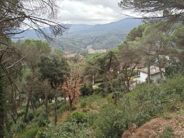 Terreno en Venta en Vallgorguina