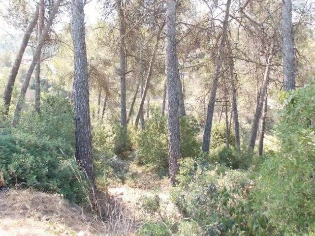 Terreno en Venta en Vallirana