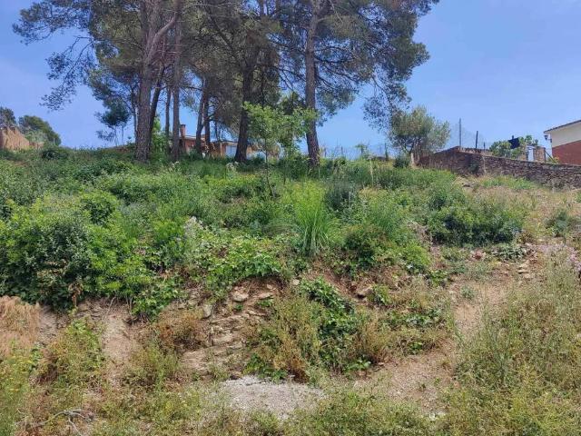 Terreno en Venta en Vallirana