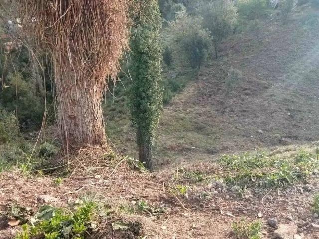 Terreno en Venta en Vallirana