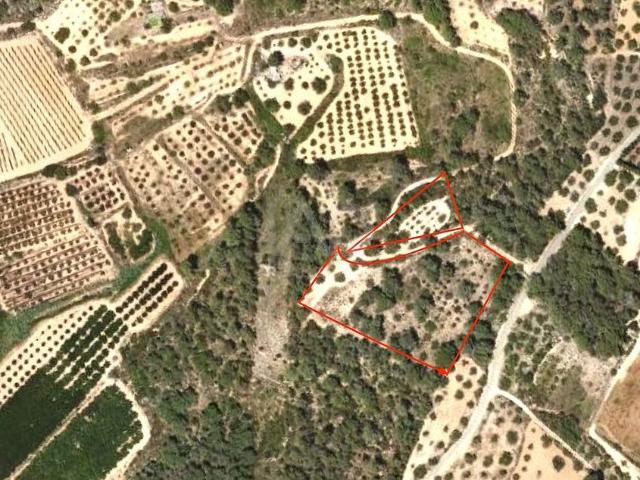 Terreno en venta en Vallmoll, de 7.327 m² por 45.000