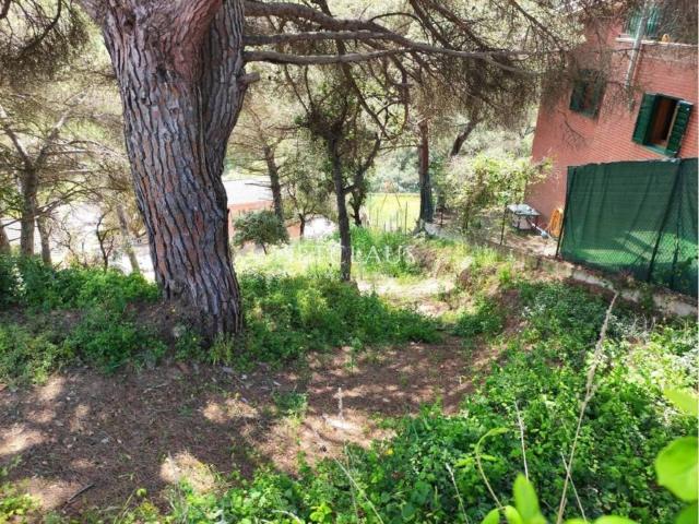 Terreno en Venta en Vallromanes