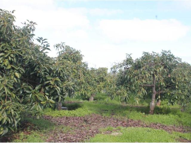 Terreno en Venta en Valsequillo de Gran Canaria